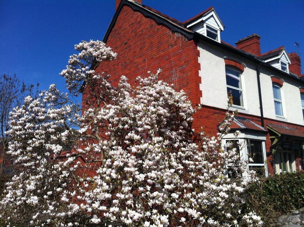 Llangollen Hostel Guest Rooms - No Dormitories - Self Catering Exteriér fotografie
